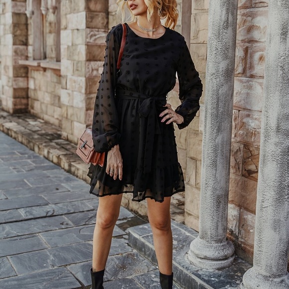 ruffle hem swiss dot waist tie sheer sleeve dress - Picture 5 of 5